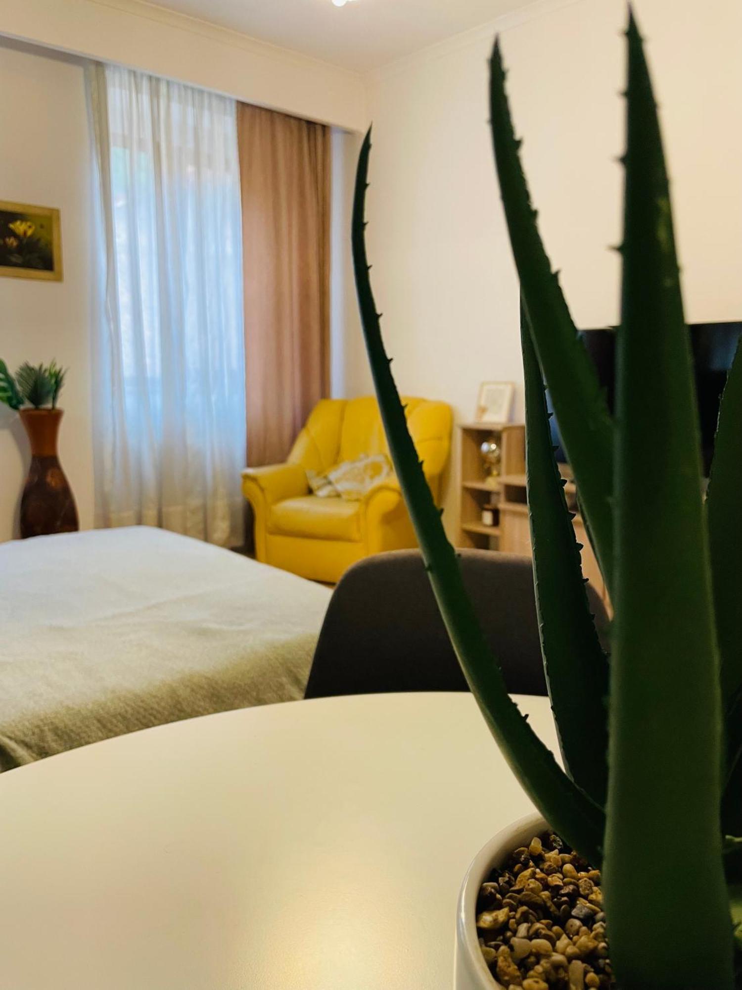 Postavarului Residence Μπρασόβ Εξωτερικό φωτογραφία